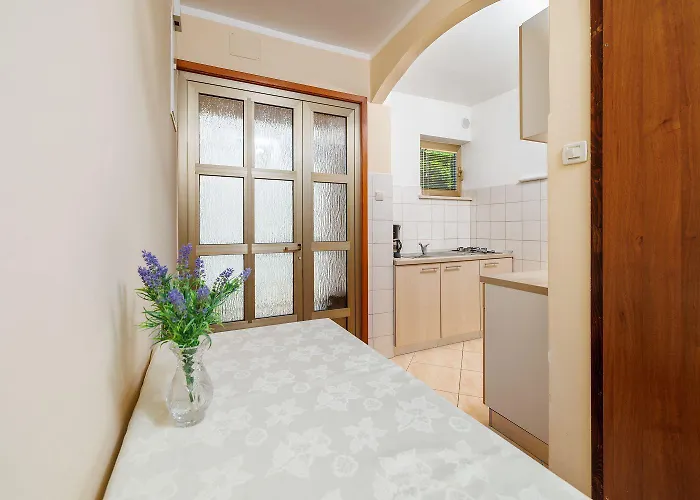 Nur 100 Meter Zur Kristallklaren Adria Jadranovo